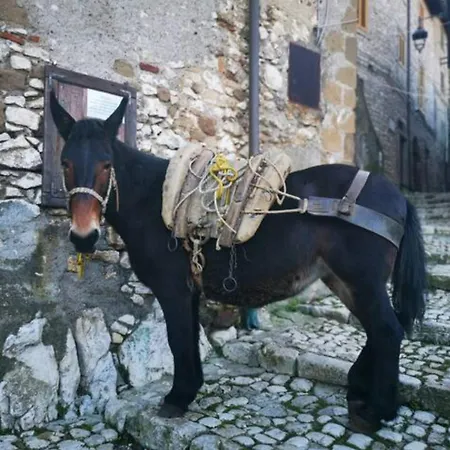 Semesterbostad Casa Camino